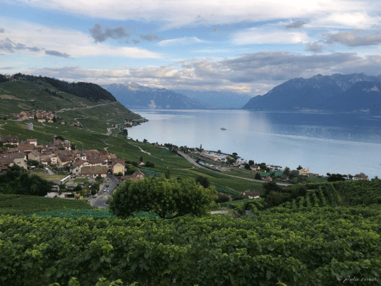 Petit train dans les vignes de Lavaux