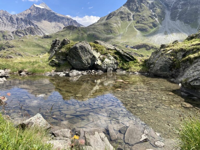 La marche consciente seule en nature