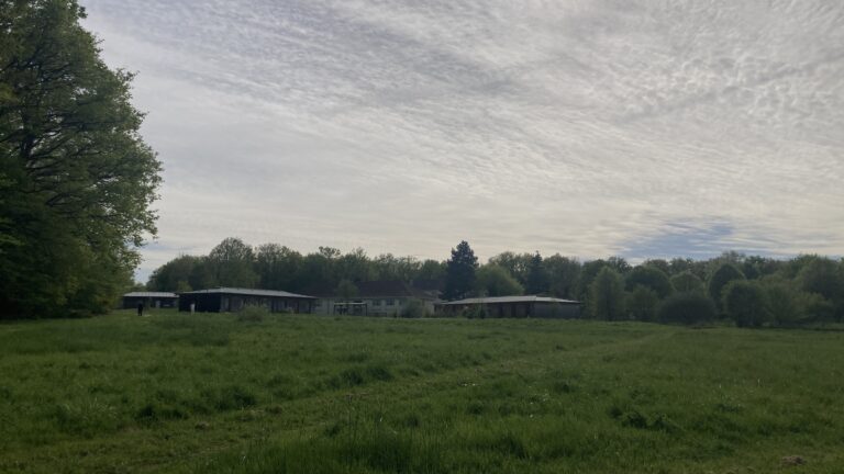 Vipassanā — ce qui reste quand tout s&rsquo;arrête