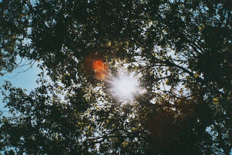 Solstice d&rsquo;été : la plénitude au cœur de la lumière